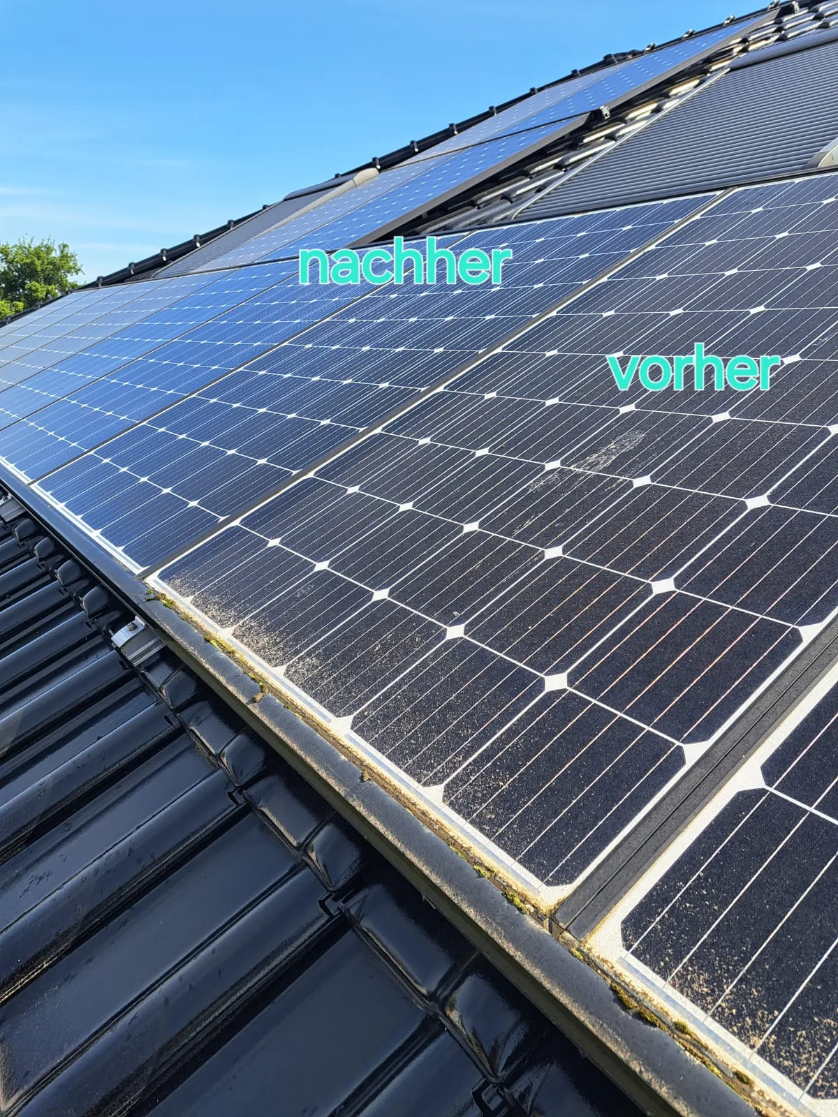 Photovoltaikmodule: links die gereinigten, rechts die noch verschmutzten Module